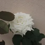 Turisticos El Refugio Lejlighed Mora de Rubielos