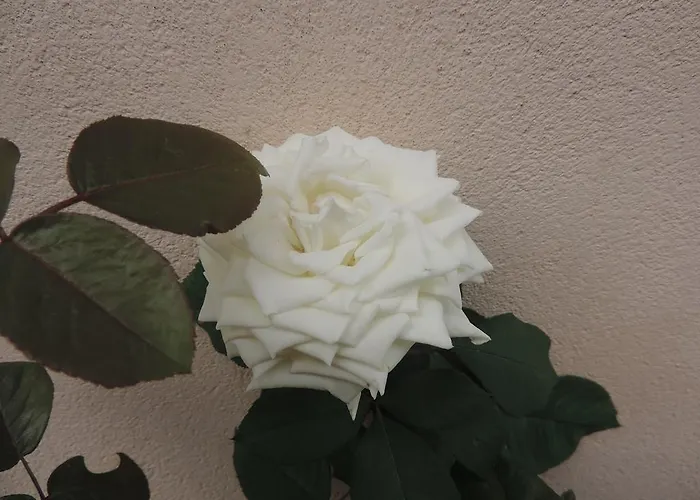 Turisticos El Refugio Apartment Mora de Rubielos